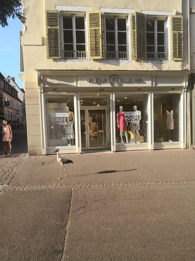 Apartmán Les Clefs De La Liberte Colmar Exteriér fotografie